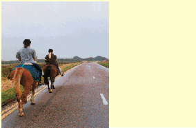 تصویر سوال: در یک جاده‌ی یک‌خطه‌ی دوطرفه (single carriageway) رانندگی می‌کنید. وقتی سوارکارا…